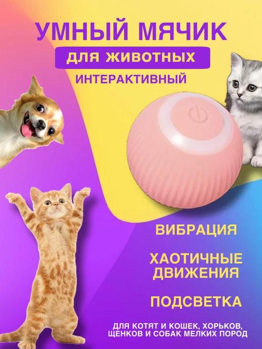 Игрушка мяч интерактивный для кошек и собак