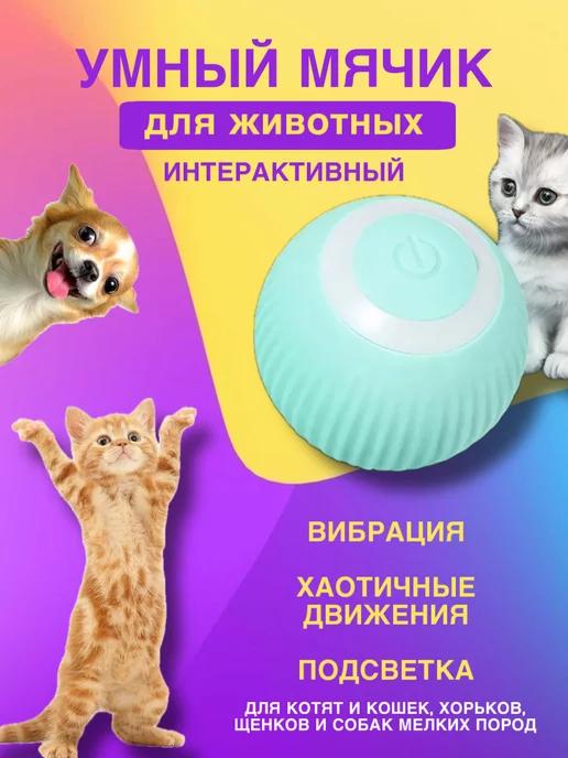 Игрушка мяч интерактивный для кошек и собак