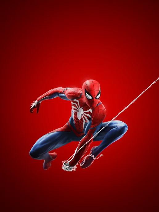 Игра Spider-Man 1 Playstation 4 5