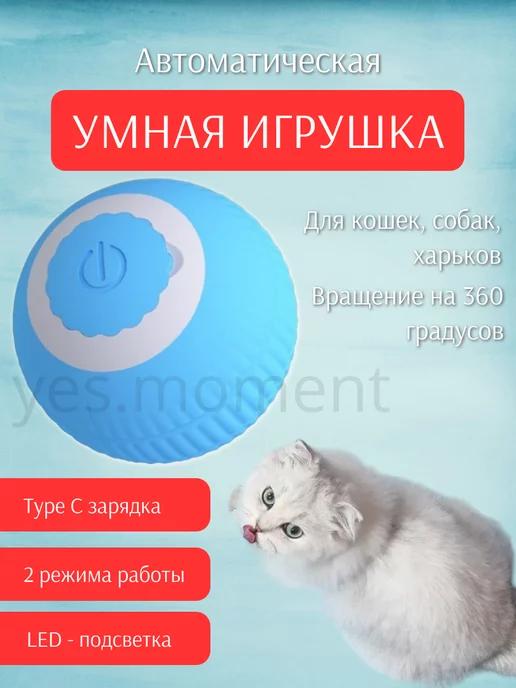 Игрушка для кошек умный мяч интерактивная для котят