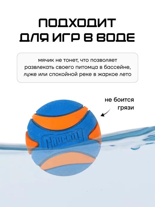 https://basket-15.wbbasket.ru/vol2330/part233064/233064790/images/c516x688/2.webp?r=2024-12-22