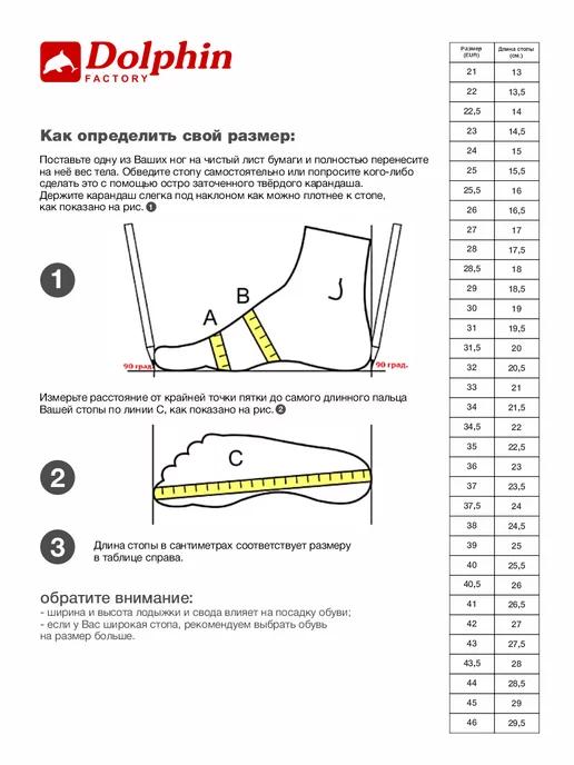 https://basket-15.wbbasket.ru/vol2332/part233232/233232629/images/c516x688/4.webp?r=2024-12-22