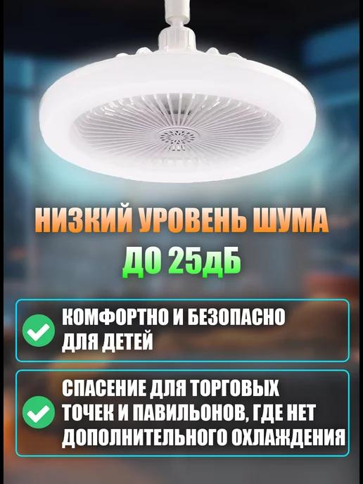 https://basket-15.wbbasket.ru/vol2388/part238837/238837822/images/c516x688/4.webp?r=2024-12-22