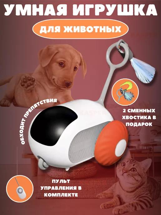 Kasper pets | Интерактивная игрушка для кошек и собак