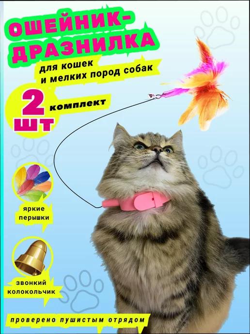 Дразнилка для кошек, игрушка, 2 штуки