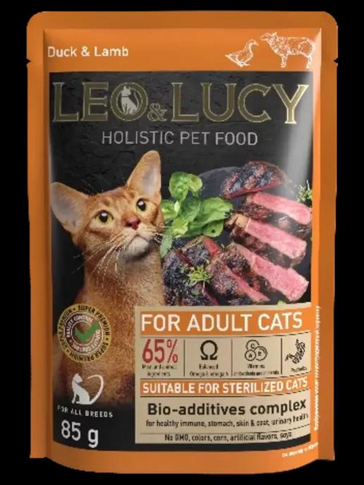 Влажный корм для кошек в соусе Holistic Pet Food 85 г