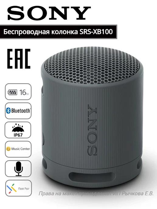 Портативная беспроводная колонка SRS-XB100