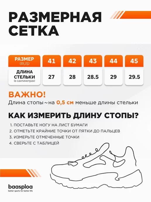 https://basket-16.wbbasket.ru/vol2464/part246433/246433912/images/c516x688/5.webp?r=2024-12-22