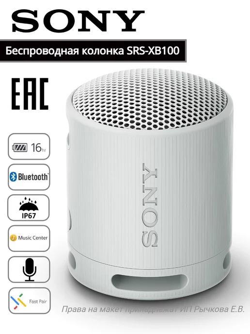 Портативная беспроводная колонка SRS-XB100