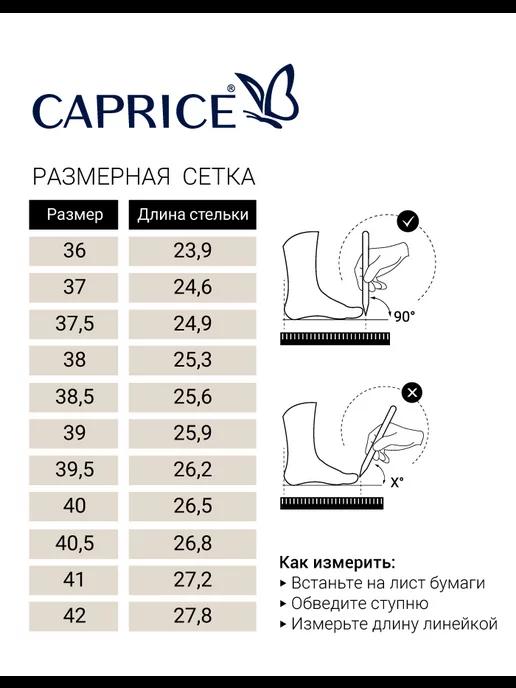 https://basket-16.wbbasket.ru/vol2510/part251036/251036065/images/c516x688/5.webp?r=2024-12-22