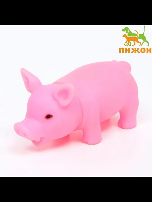 Игрушка свинья резиновая для собаки, с пищалкой, поросенок