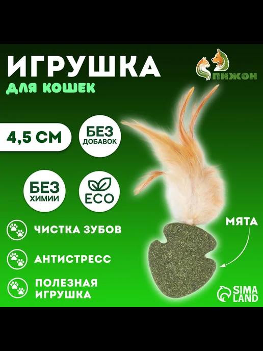 Игрушка для кошек из кошачьей мяты Стрела с пером