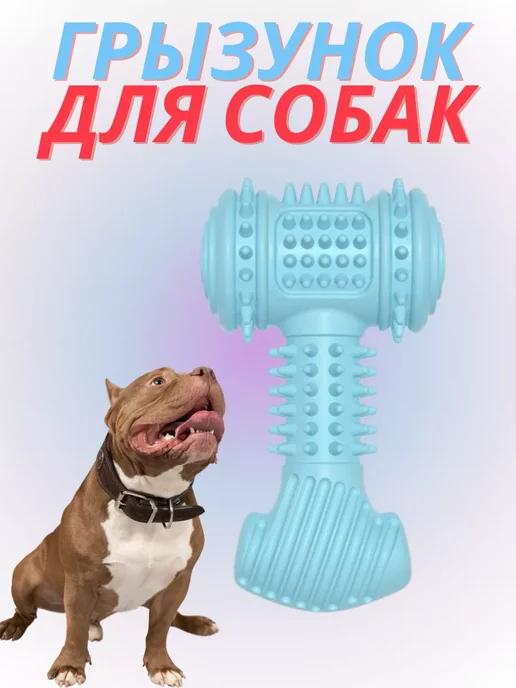 Игрушка для собак