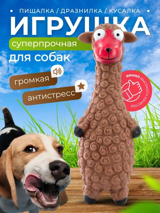 Игрушка для собак с пищалкой