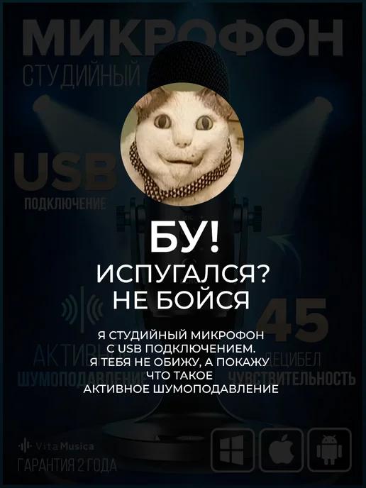 Конденсаторный USB микрофон студийный