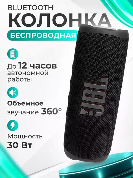 Портативная акустическая колонка JBL Flip 6