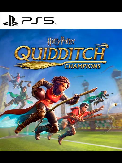 Игра Harry Potter Quidditch Champions PS4 PS5