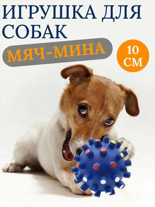 Игрушка для собак мяч-мина