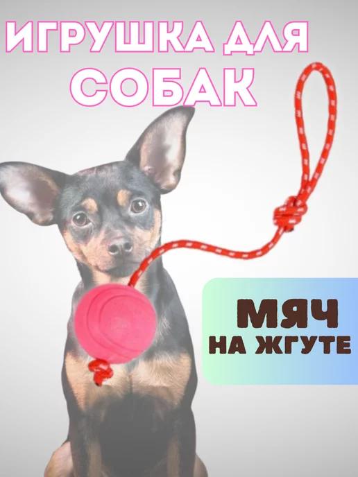 Мяч на веревке для собак