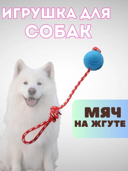 Мяч на веревке для собак