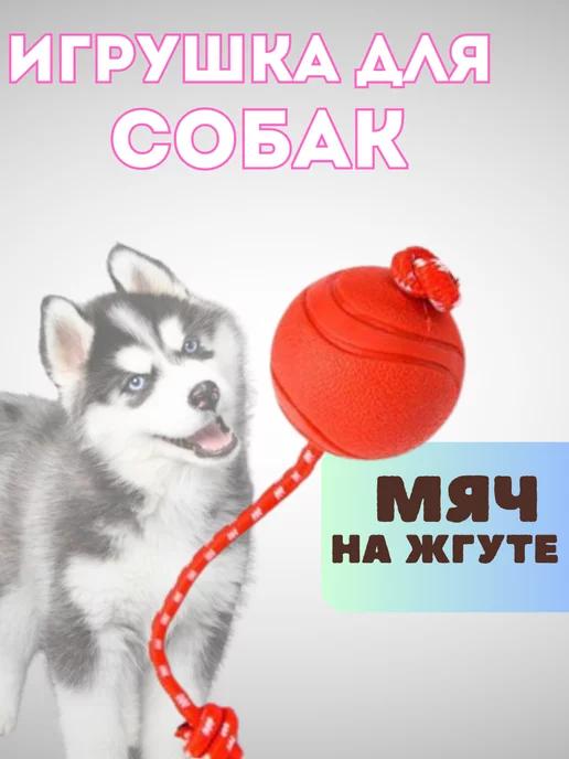 Мяч на веревке для собак