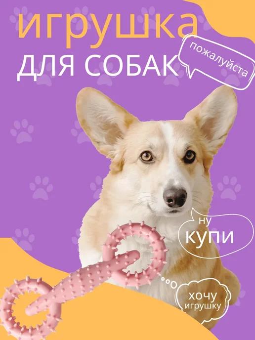 Игрушка доя собаки и щенков средних и мелких чихуахуа