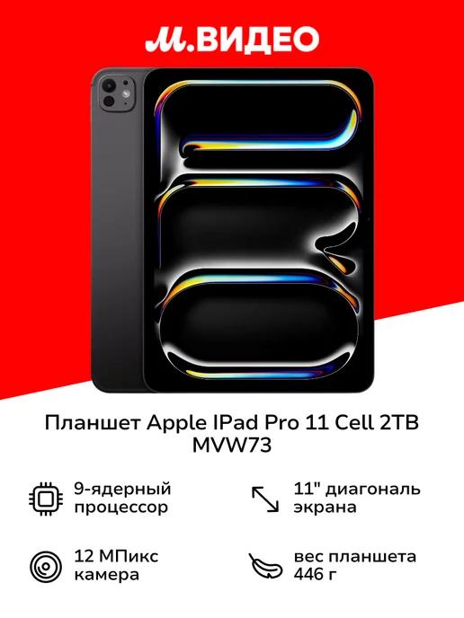 Планшет IPad Pro 11 Cell 2TB Space Black MVW73 (2024)