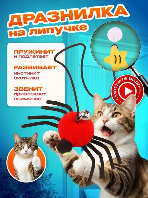 Игрушка для кошек интерактивная Паук