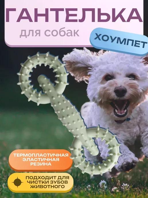 Шани Куб | Игрушка резиновая для собак