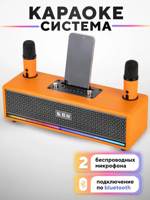 Караоке система с беспроводными микрофонами