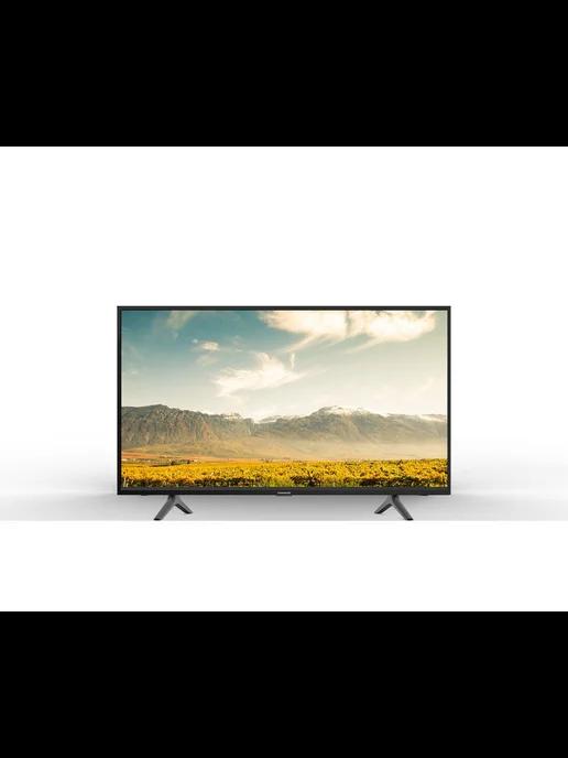 Телевизор LED T24RTE1310 HD