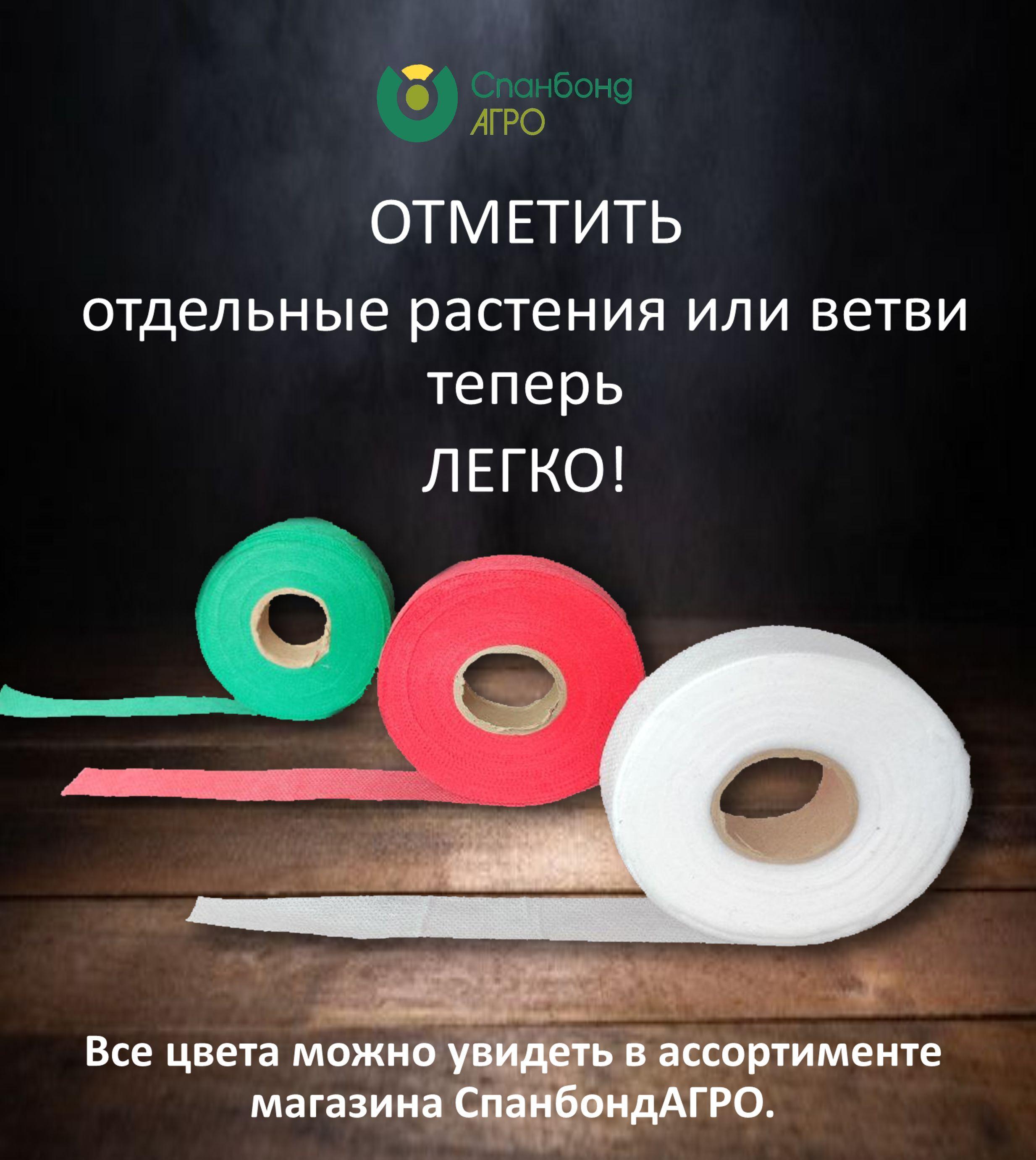 https://cdn1.ozone.ru/s3/multimedia-0/6593593392.jpg