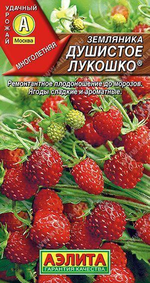 Земляника круглогодичная Аэлита, семена, 0.04 гр.