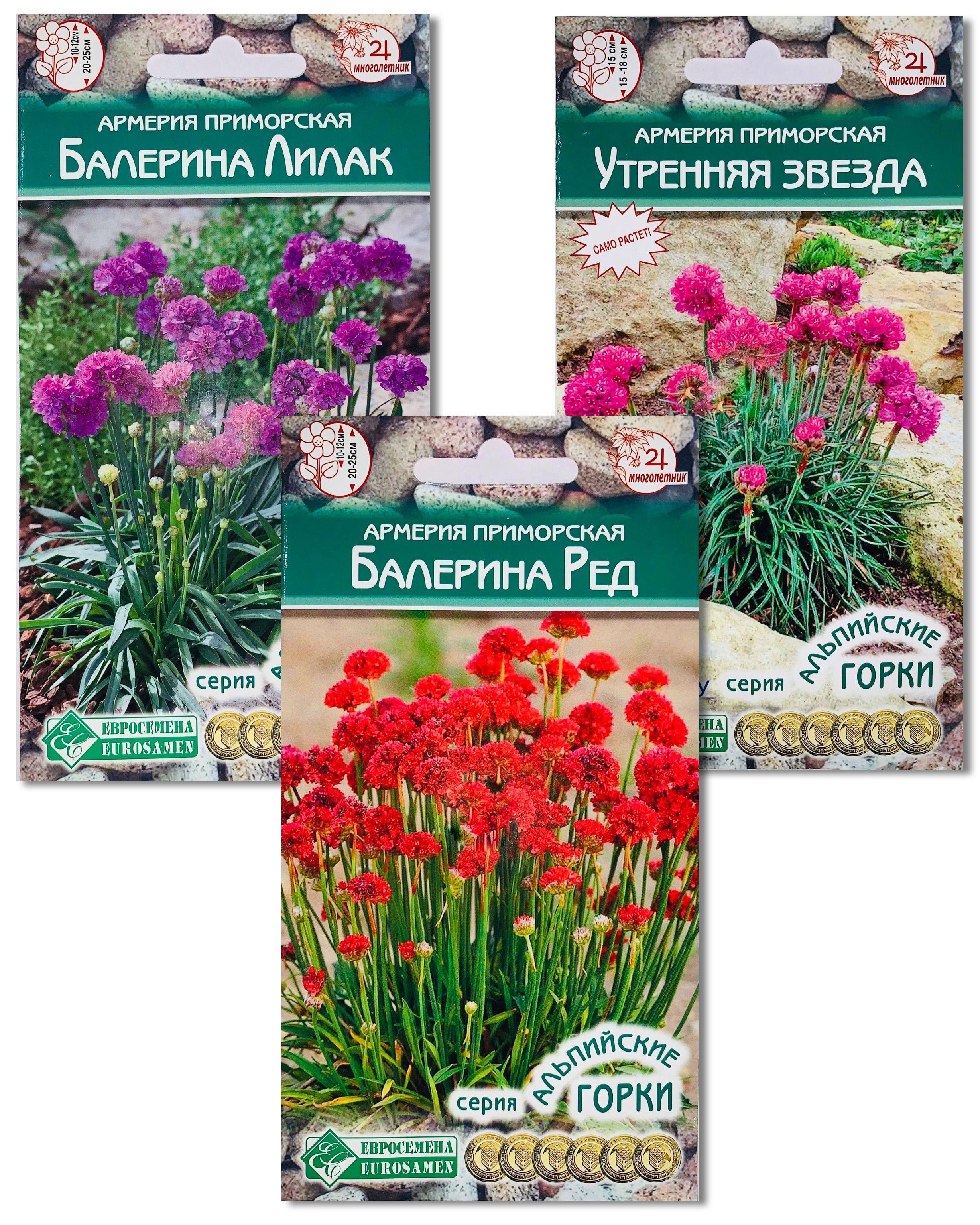 Армерия набор ПРИМОРСКАЯ КРАСАВИЦА (Звезда+Ред+Лилак), 3 пакета, семена по 5 шт, Евросемена