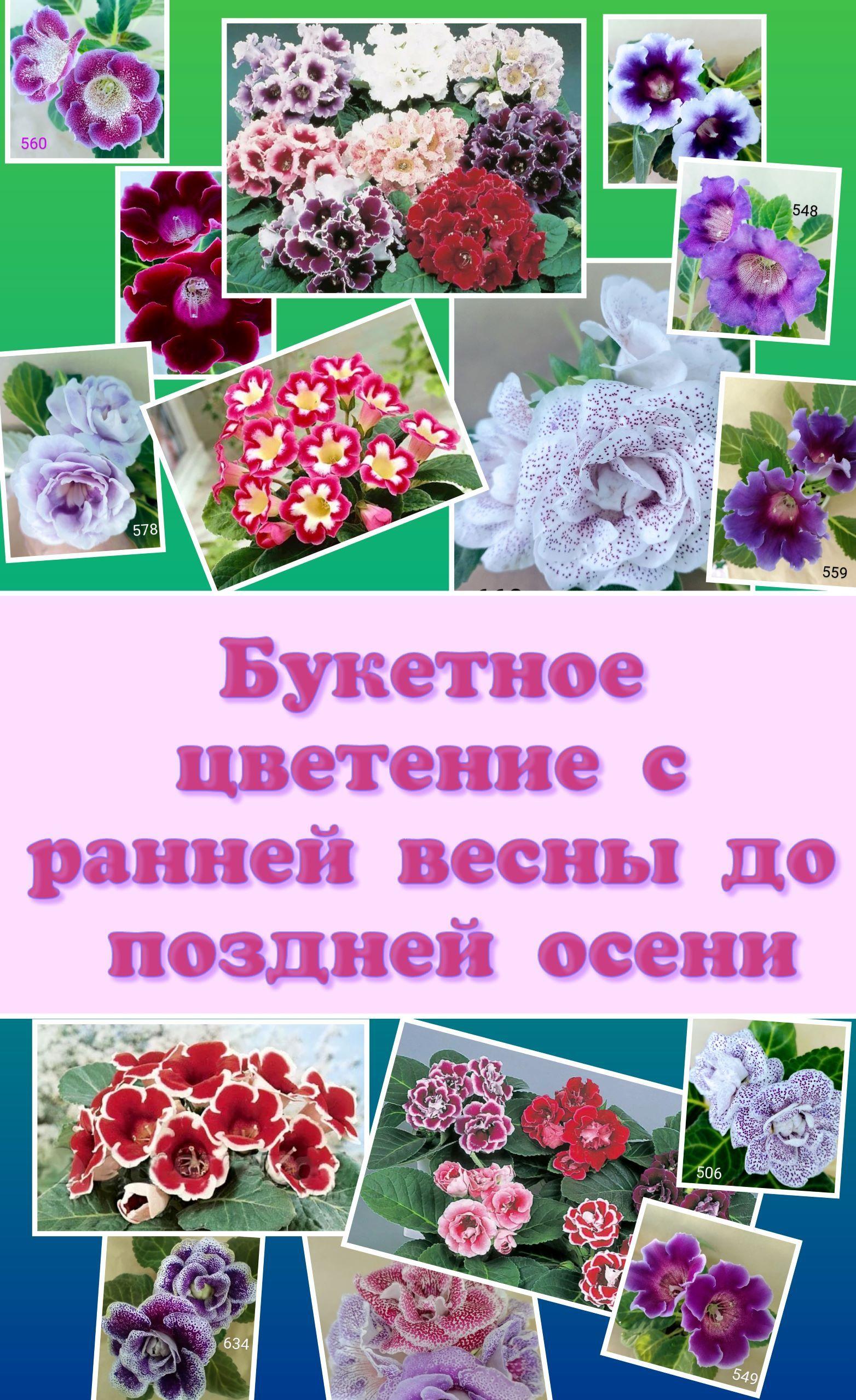 https://cdn1.ozone.ru/s3/multimedia-1/6818015017.jpg