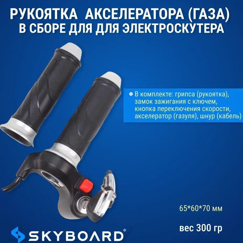 SKYBOARD Ручка газа для электротранспорта