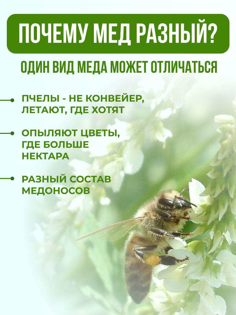 https://cdn1.ozone.ru/s3/multimedia-1-0/7046071524.jpg