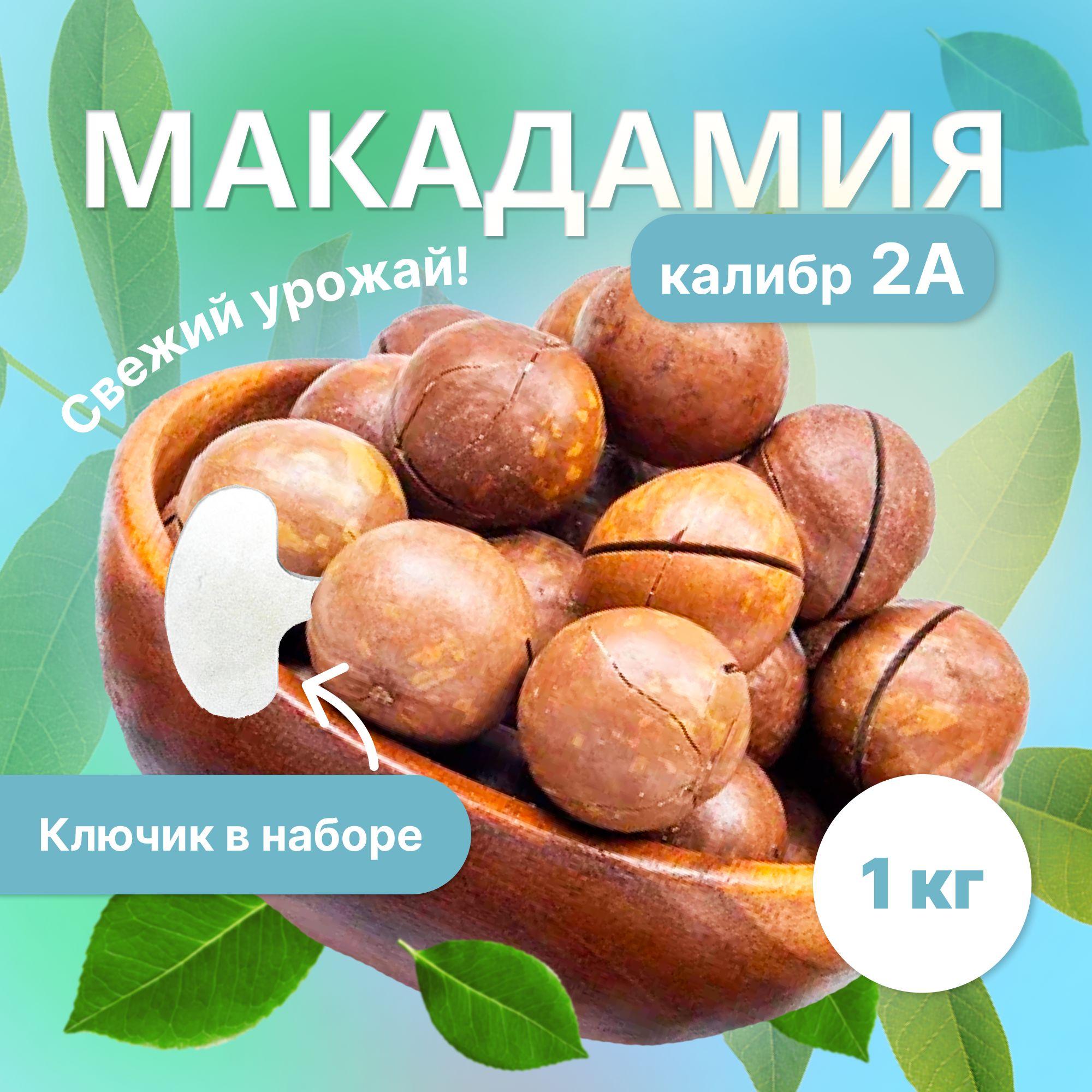 Макадамия 2А, ПП boom! в скорлупе, с ключиком, снэки, орехи, ЮАР, 1кг