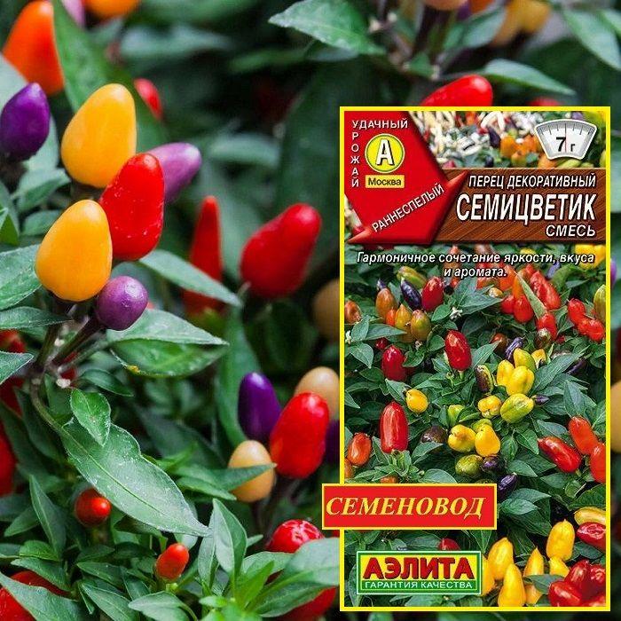 Аэлита | Перец декоративный СЕМИЦВЕТИК, смесь - Сочетание яркости, вкуса и аромата! / Семена перца - Агрофирма АЭЛИТА