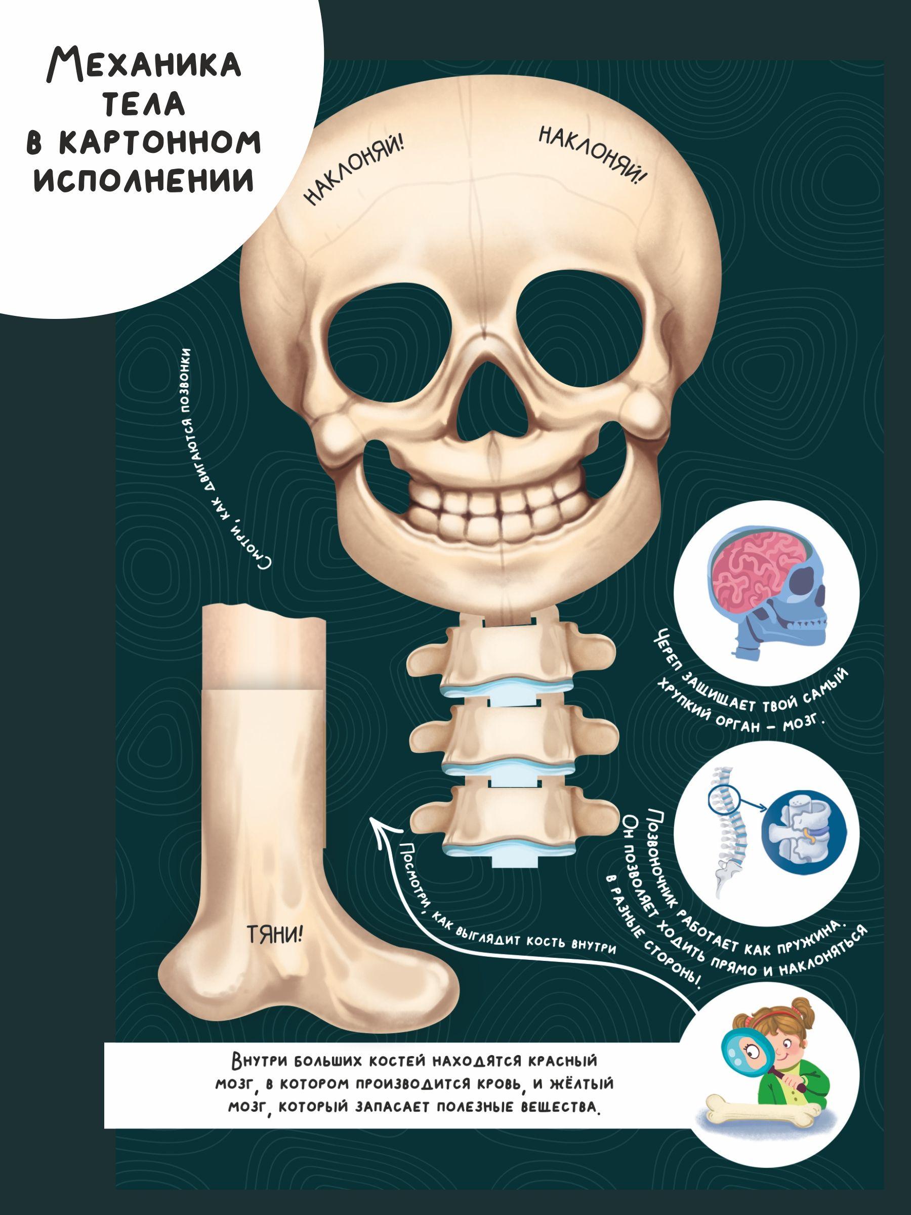 https://cdn1.ozone.ru/s3/multimedia-1-0/7088418144.jpg