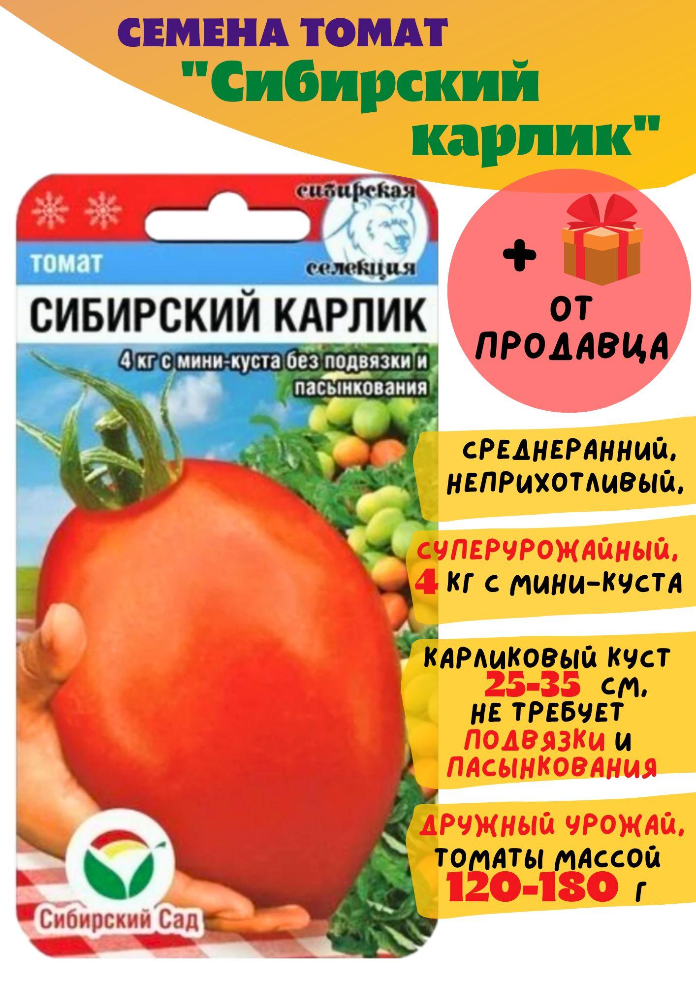 Семена томат Сибирский карлик (Сибирский сад) 1 пачка + подарок