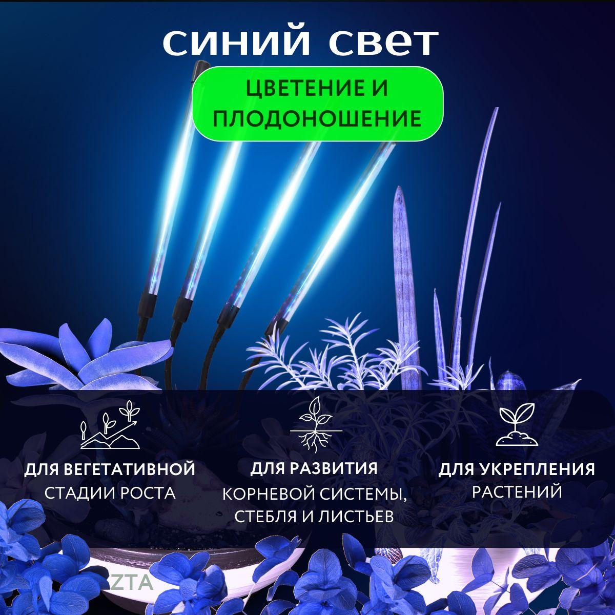 https://cdn1.ozone.ru/s3/multimedia-1-0/7124260428.jpg