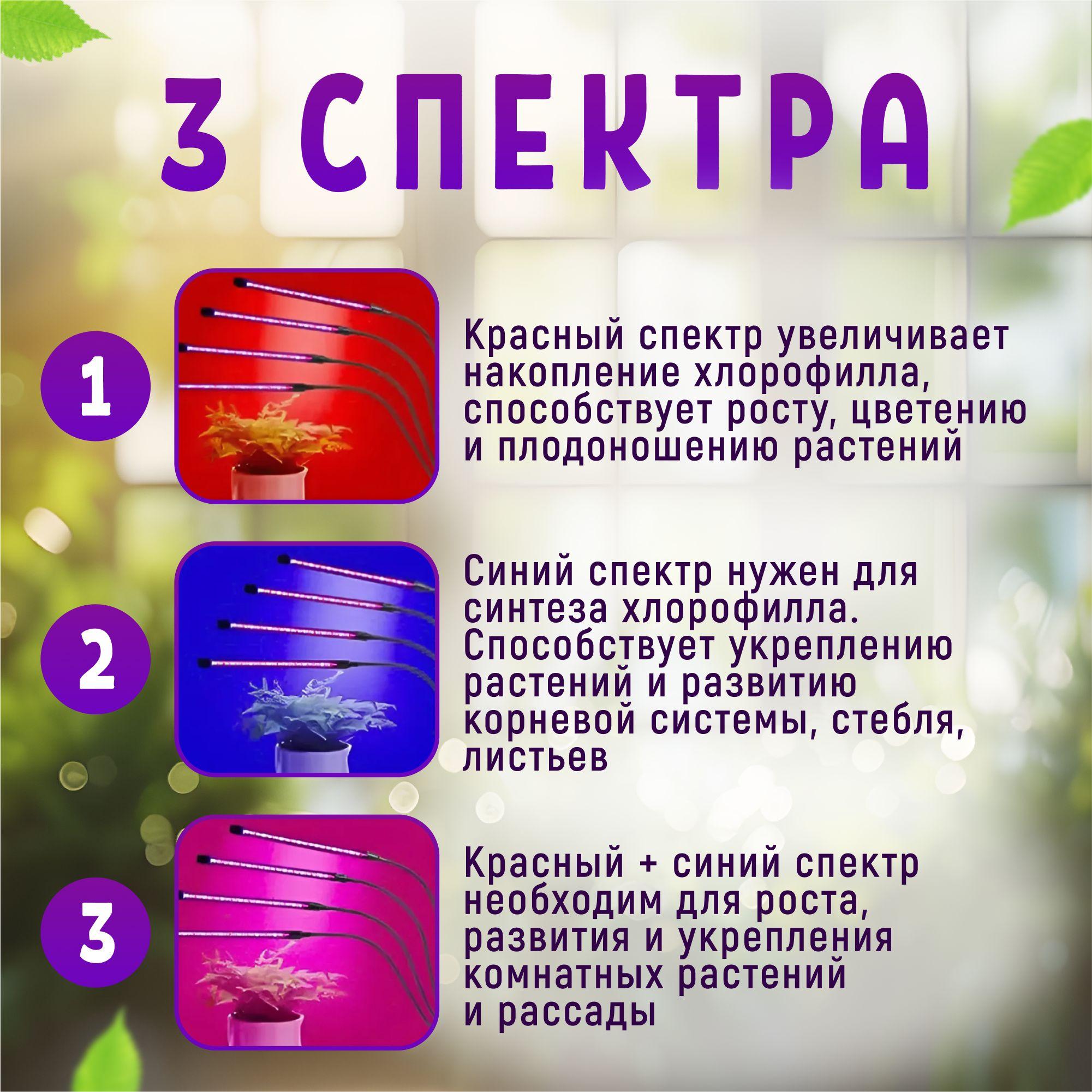 https://cdn1.ozone.ru/s3/multimedia-1-0/7143817788.jpg