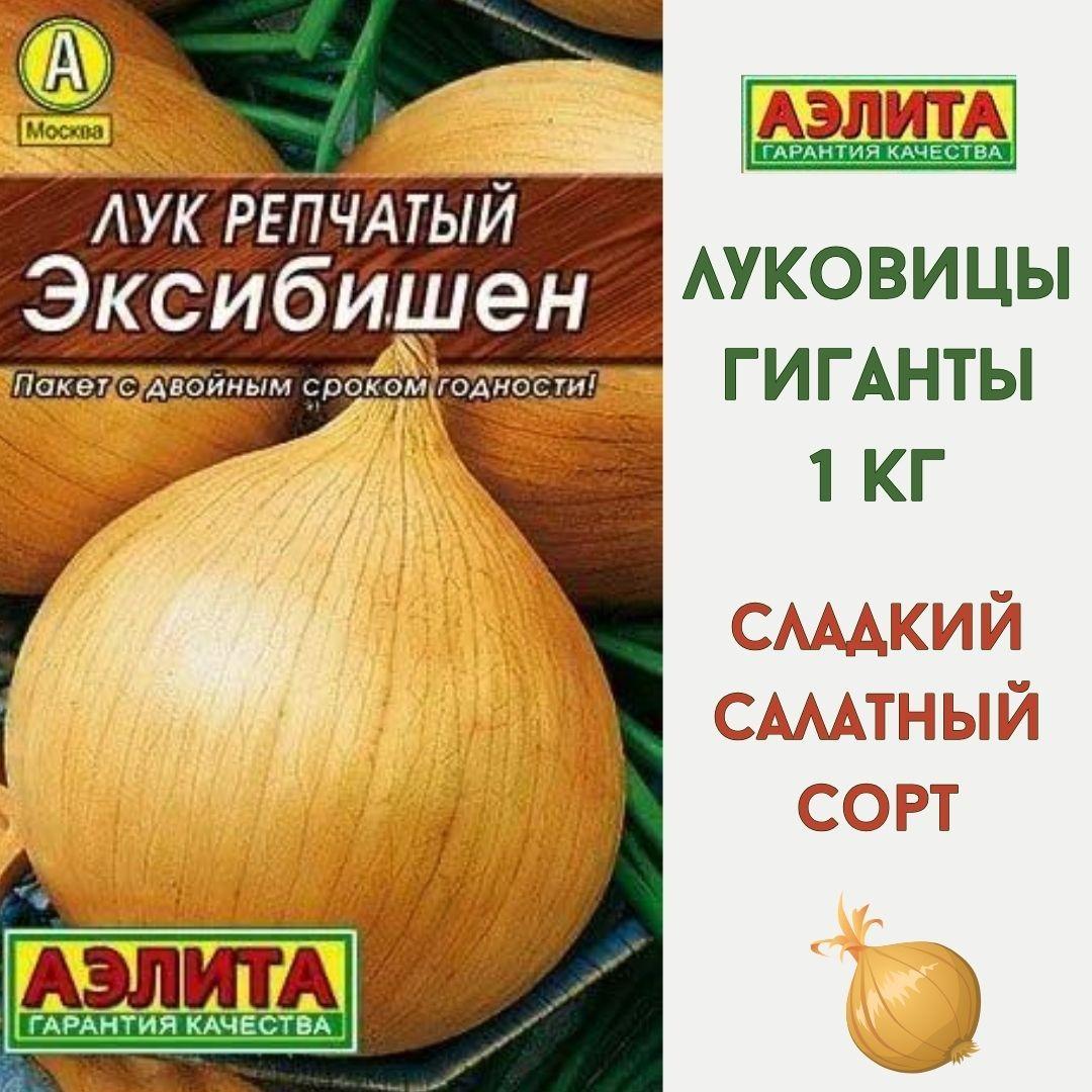 Лук Эксибишен семена, репчатый лук Агрофирма Аэлита 0,1г