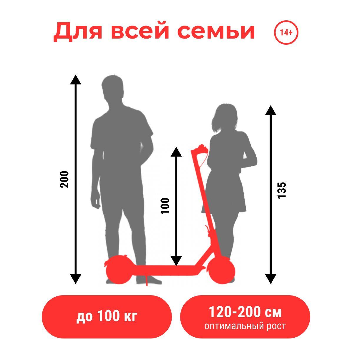 https://cdn1.ozone.ru/s3/multimedia-1-1/6937197733.jpg
