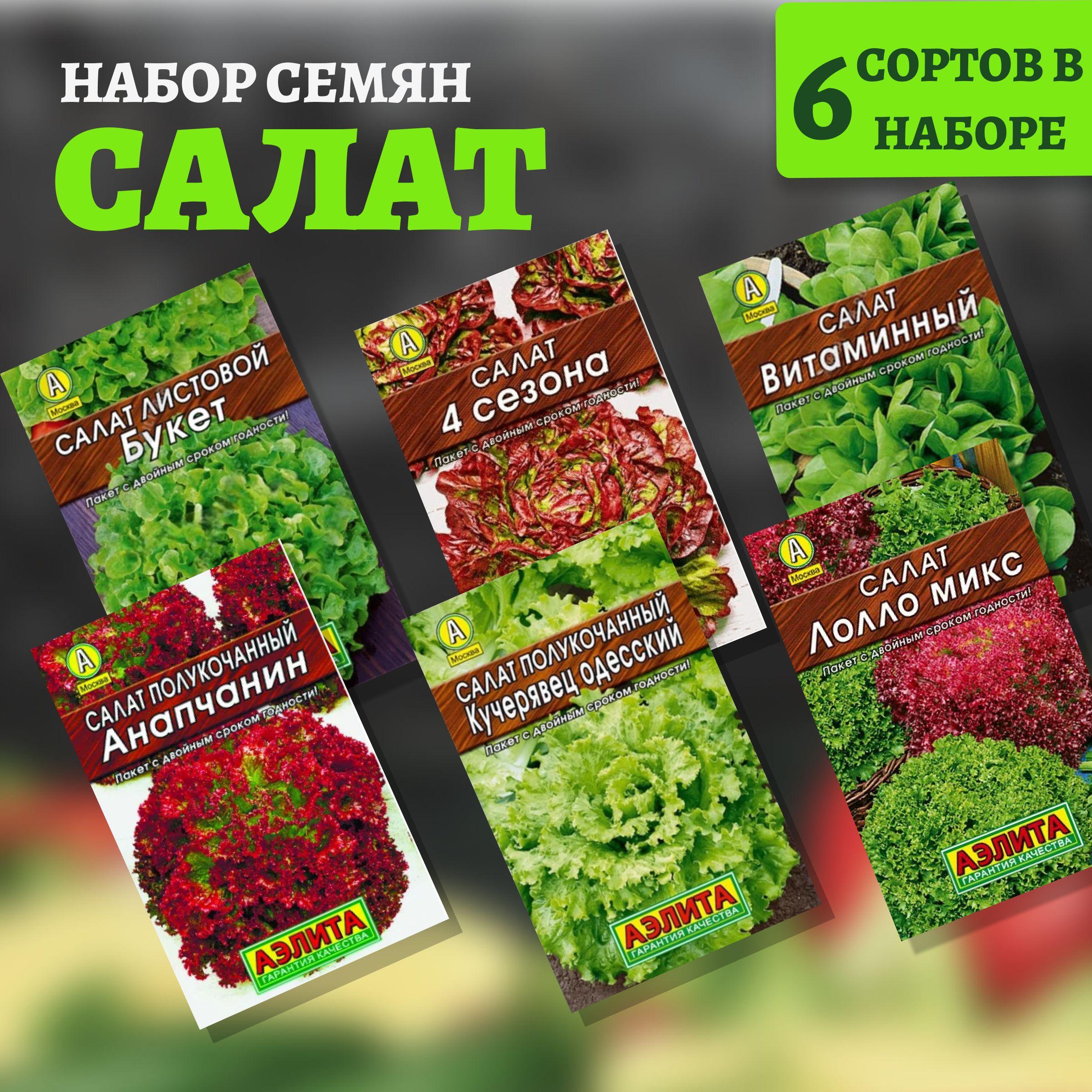 САЛАТ семена 6 популярных сорта / 3 гр. Аэлита