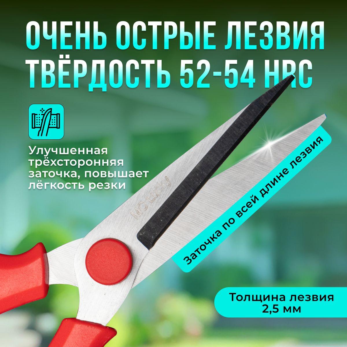 https://cdn1.ozone.ru/s3/multimedia-1-1/7019464105.jpg