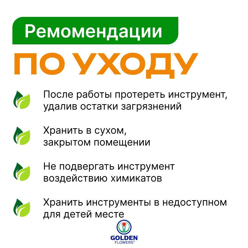 https://cdn1.ozone.ru/s3/multimedia-1-1/7030808137.jpg