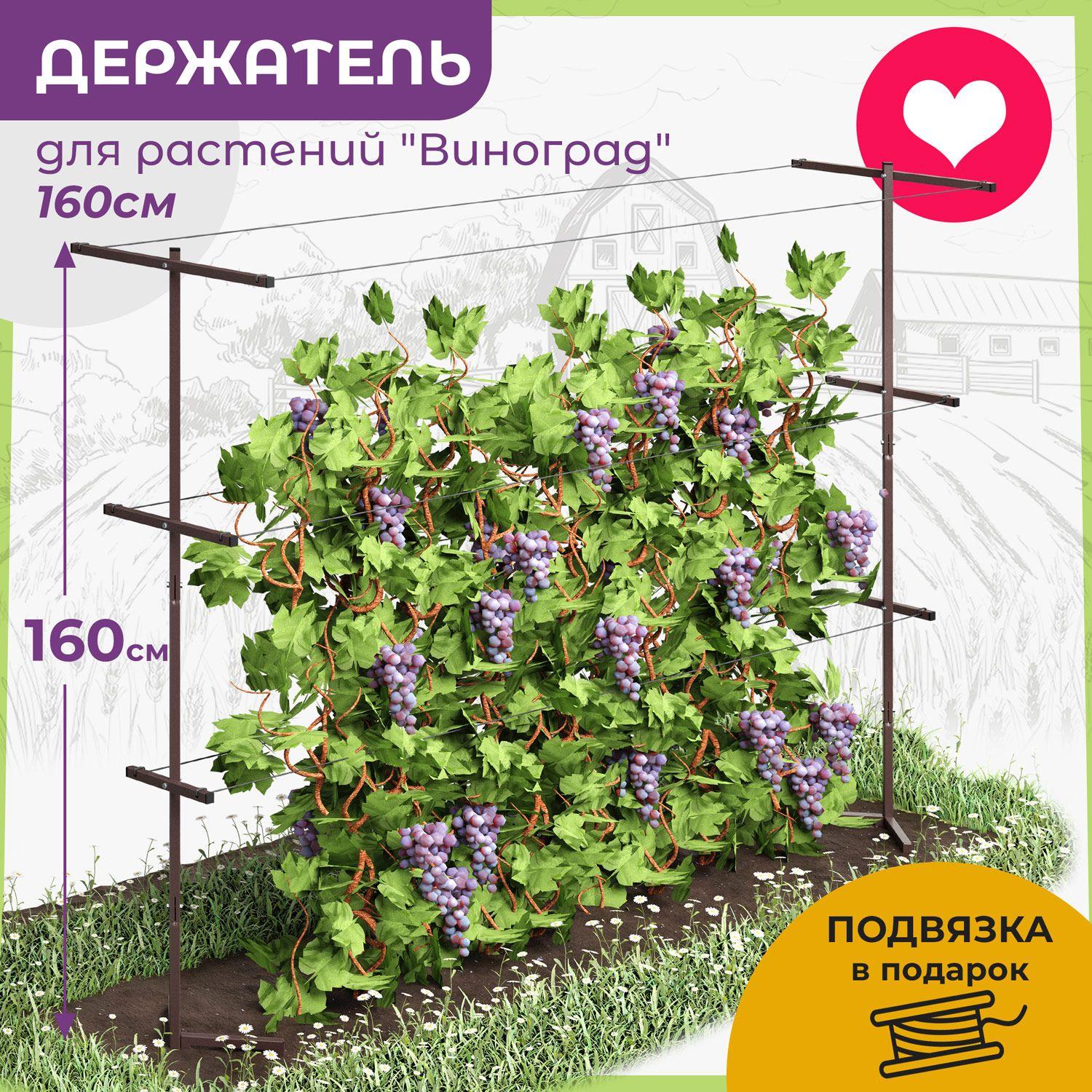 OST GARDEN | Держатель для растений садовый металлический разборный шпалера "Виноград 3" BR (2 опоры) 160 см