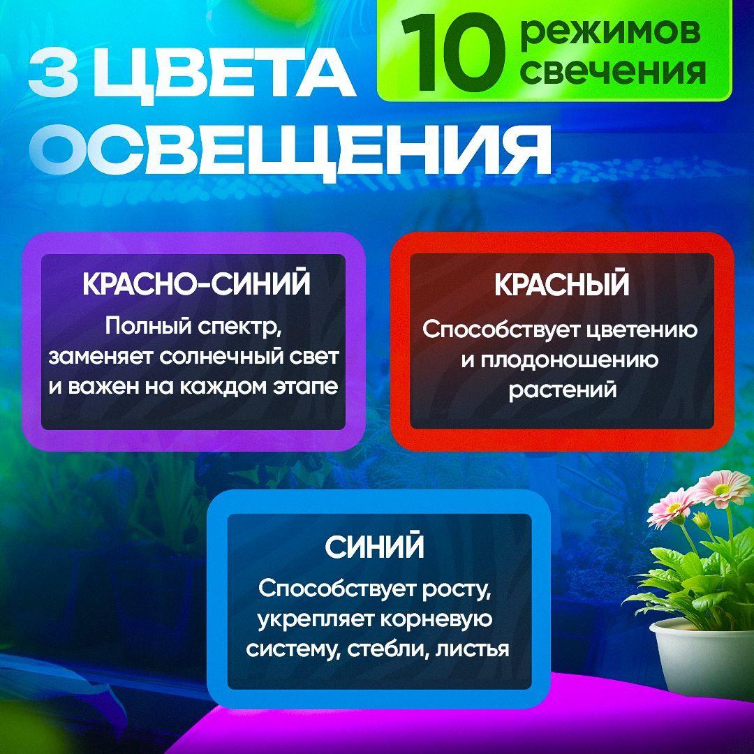 https://cdn1.ozone.ru/s3/multimedia-1-1/7198420681.jpg